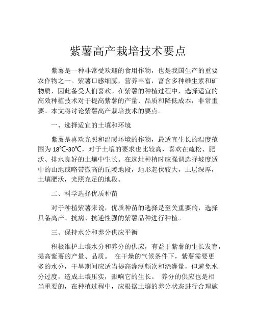 紫薯高产栽培技术要点
