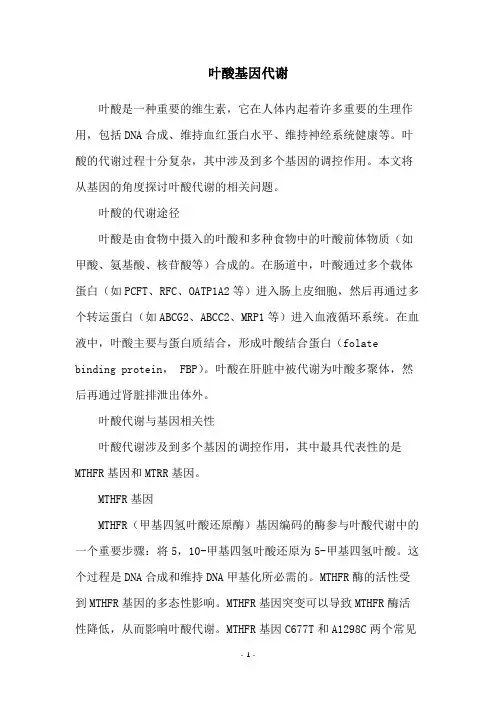 叶酸基因代谢