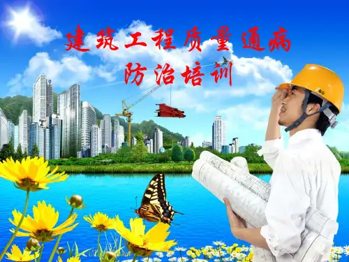 建筑工程质量通病  ppt课件