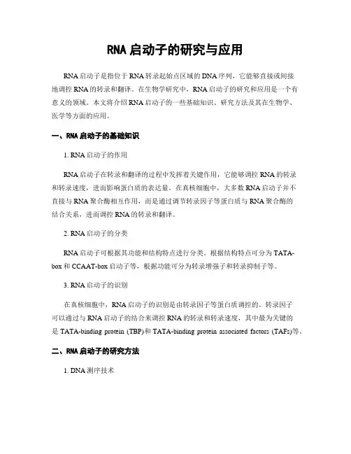 RNA启动子的研究与应用