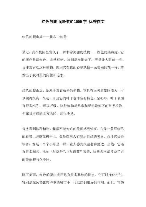 红色的爬山虎作文1000字 优秀作文