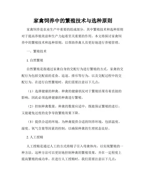 家禽饲养中的繁殖技术与选种原则