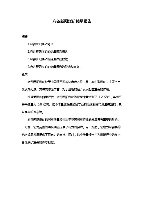府谷新阳煤矿储量报告