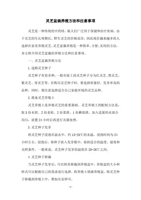 灵芝盆栽养殖方法和注意事项