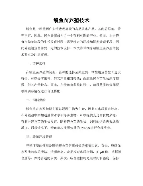 鳗鱼苗养殖技术
