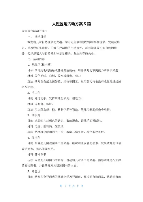 大班区角活动方案5篇