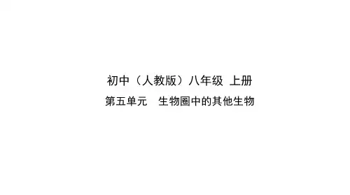 人教版生物八年级上册课件 第四节鱼(62张ppt)