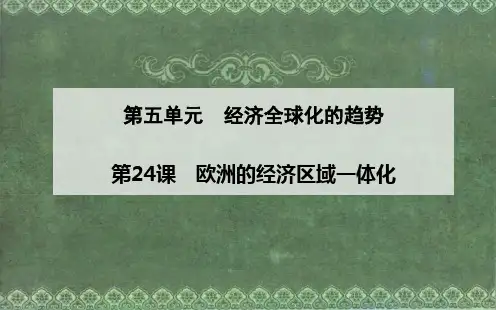 《欧洲的经济区域一体化》课件02