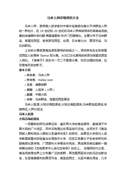 马来人种详细资料大全
