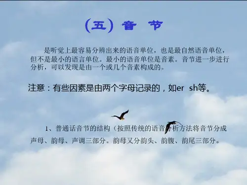 现代汉语第二章 普通话语音——第五节音节