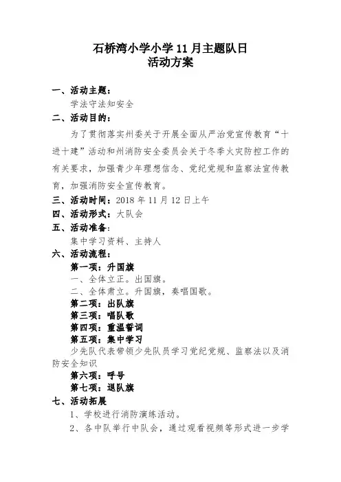 11月主题队日方案
