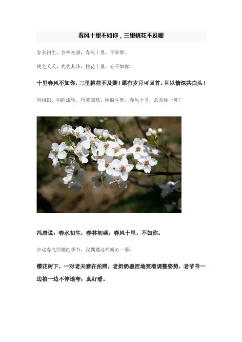 春风十里不如你,三里桃花不及卿