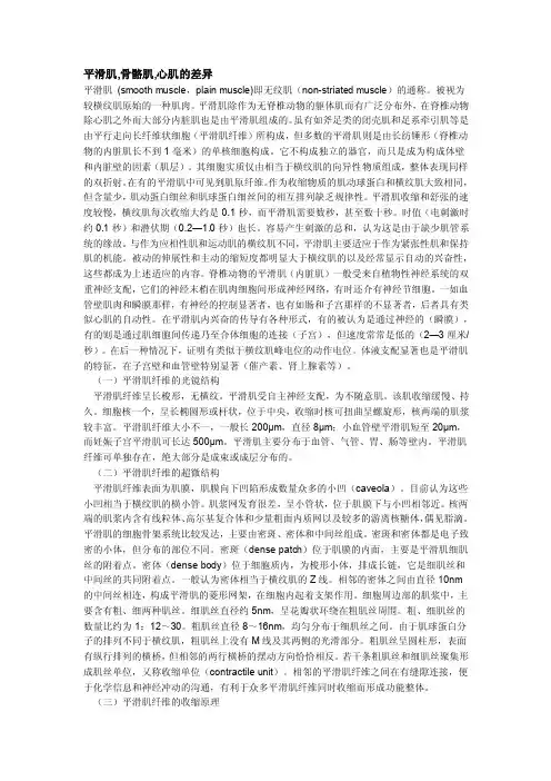 心肌平滑肌比较