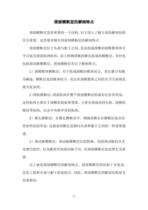 颈部横断层的解剖特点