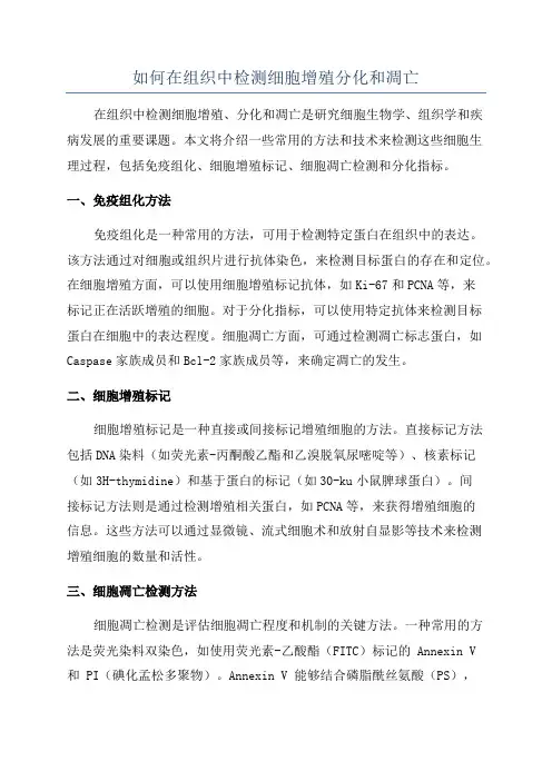 如何在组织中检测细胞增殖分化和凋亡