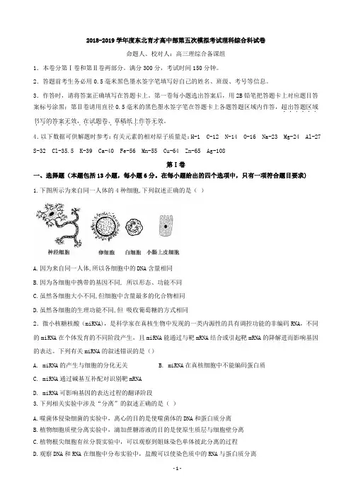 2019届辽宁省沈阳市东北育才学校高三第五次模拟理科综合试题 word版