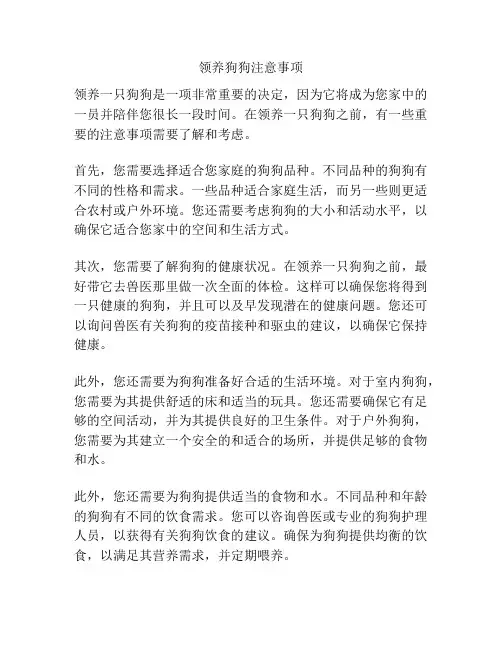 领养狗狗注意事项