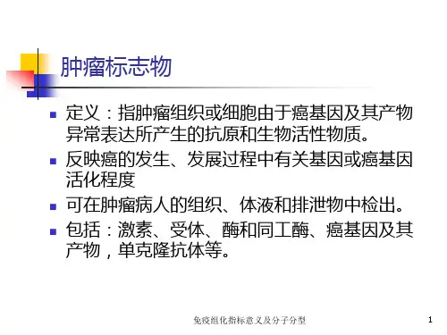 免疫组化指标意义及分子分型培训课件