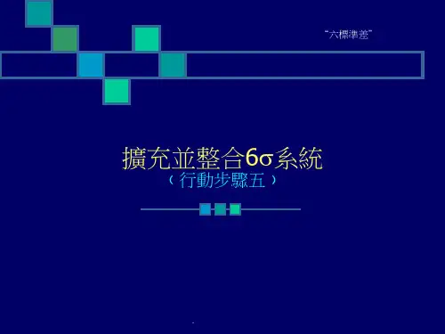 扩充并整合6Sigma系统