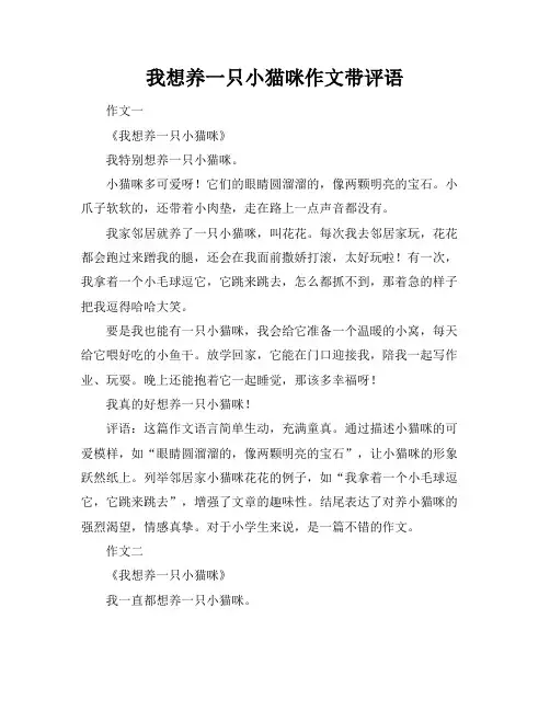 我想养一只小猫咪作文带评语