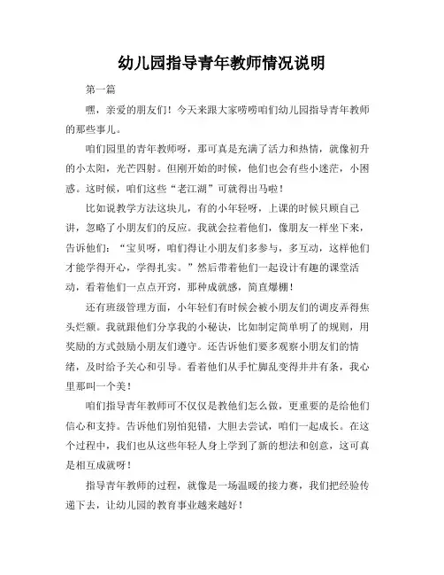 幼儿园指导青年教师情况说明