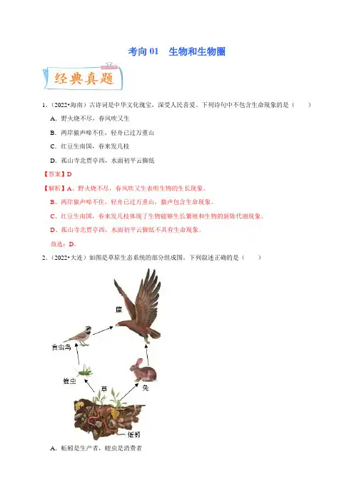 考向01 生物和生物圈-备战2023年中考生物一轮复习考点微专题(原卷版)