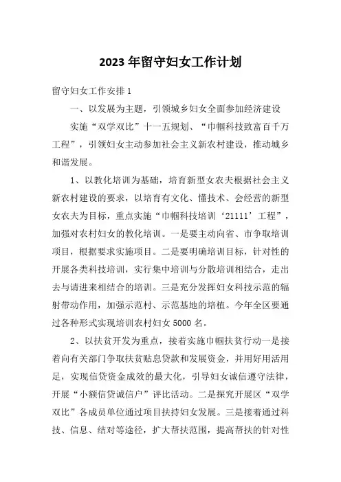 2023年留守妇女工作计划