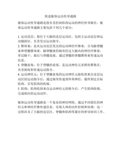 简述躯体运动传导通路
