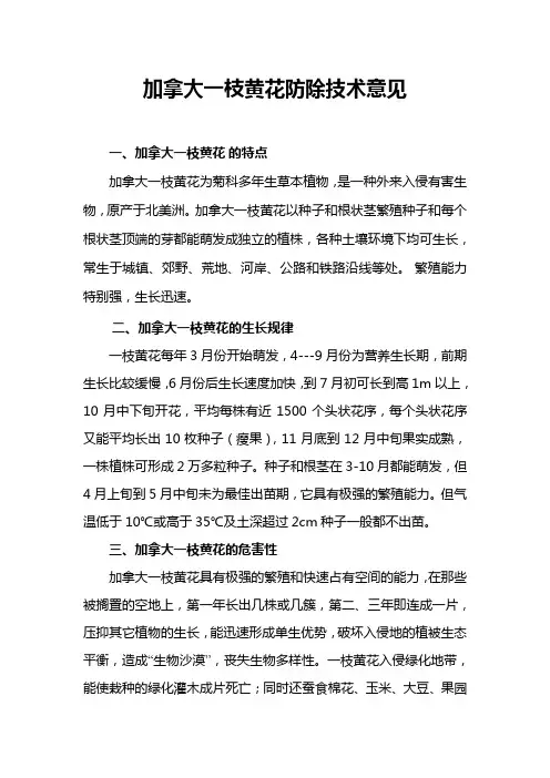 加拿大一枝黄花的防除技术意见
