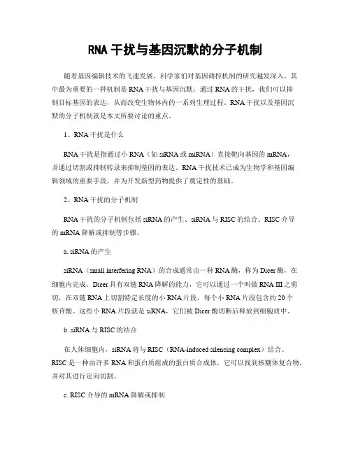 RNA干扰与基因沉默的分子机制