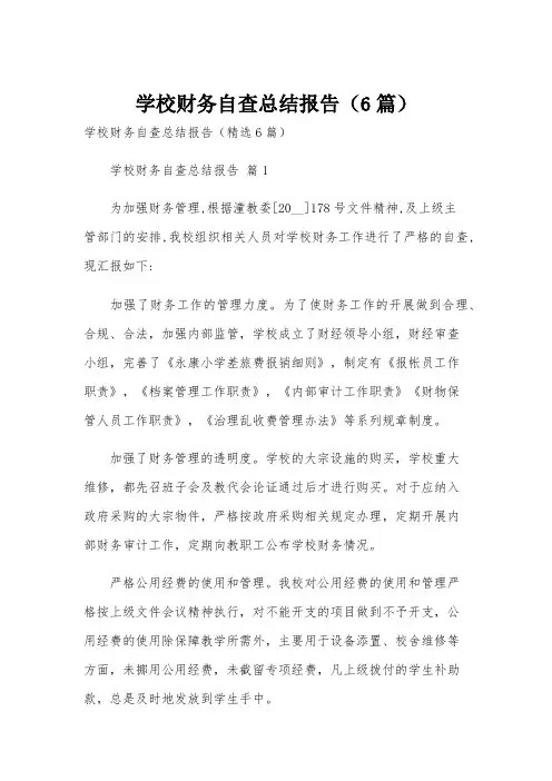 学校财务自查总结报告(6篇)