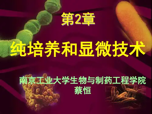 第2章纯培养和显微技术