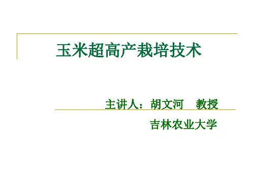 玉米超高产栽培技术-吉林农大