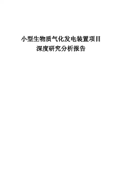 2024年小型生物质气化发电装置项目深度研究分析报告