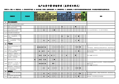 房地产公司权责手册-06营销管理-直管项目(含董事长)