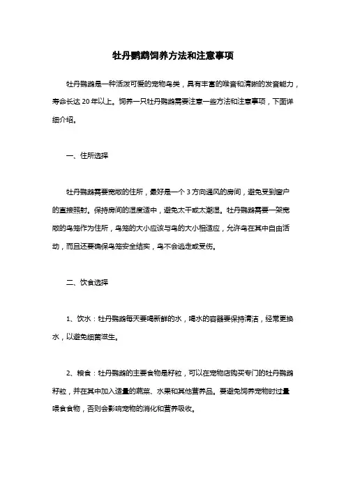 牡丹鹦鹉饲养方法和注意事项