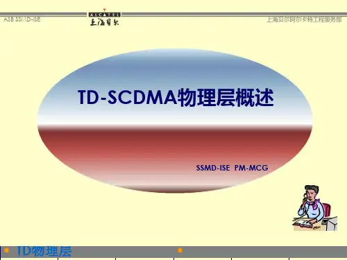 TDSCDMA 物理层概述PPT课件
