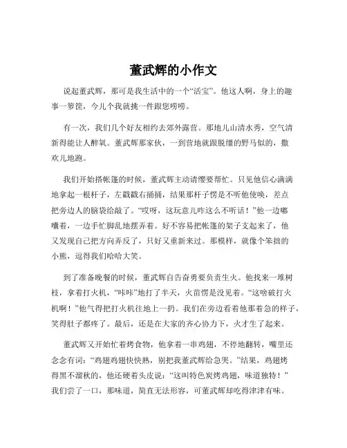 董武辉的小作文