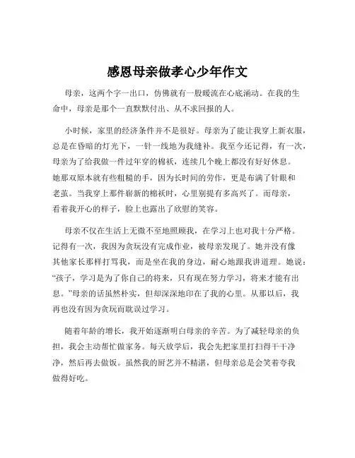 感恩母亲做孝心少年作文