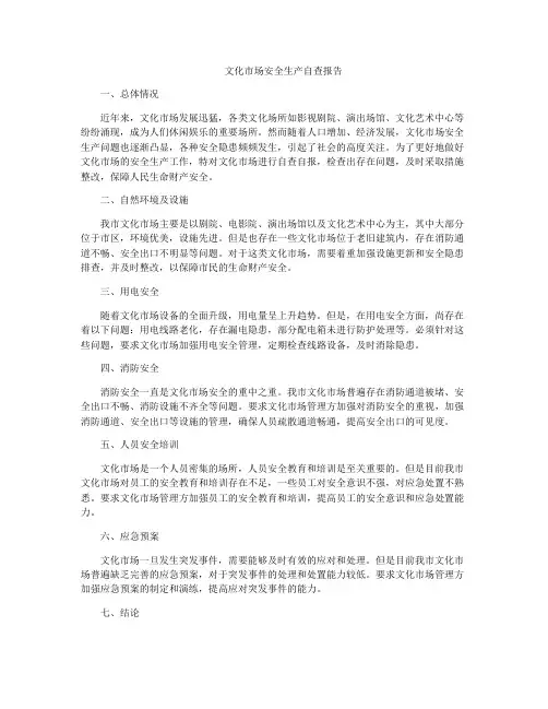 文化市场安全生产自查报告