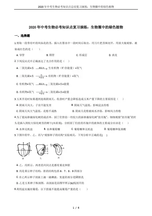 2020年中考生物必考知识点总结复习演练：生物圈中的绿色植物