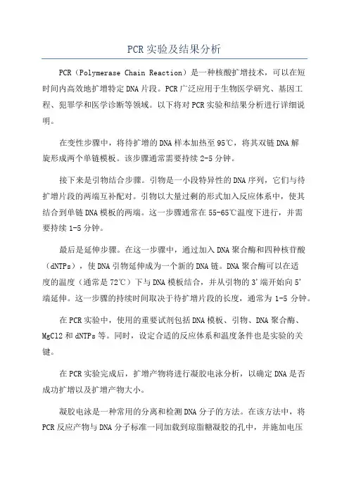 PCR实验及结果分析