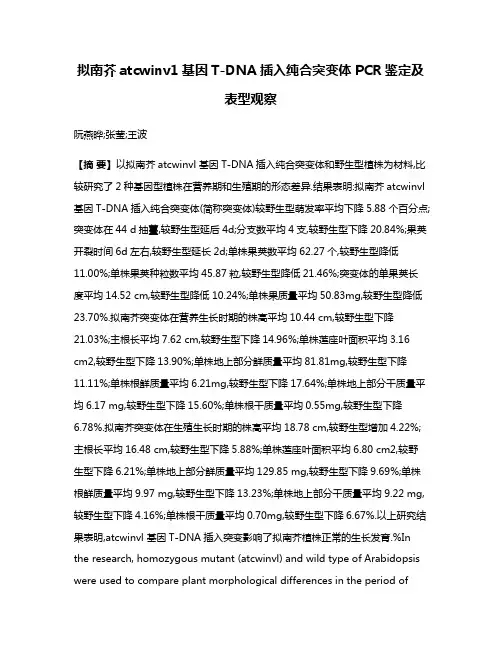 拟南芥atcwinv1基因T-DNA插入纯合突变体PCR鉴定及表型观察