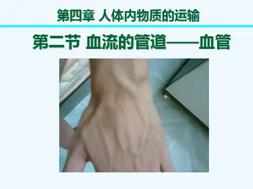 生物人教版七年级下册《血流的管道——血管》第二课时