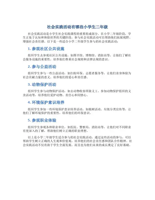 社会实践活动有哪些小学生二年级