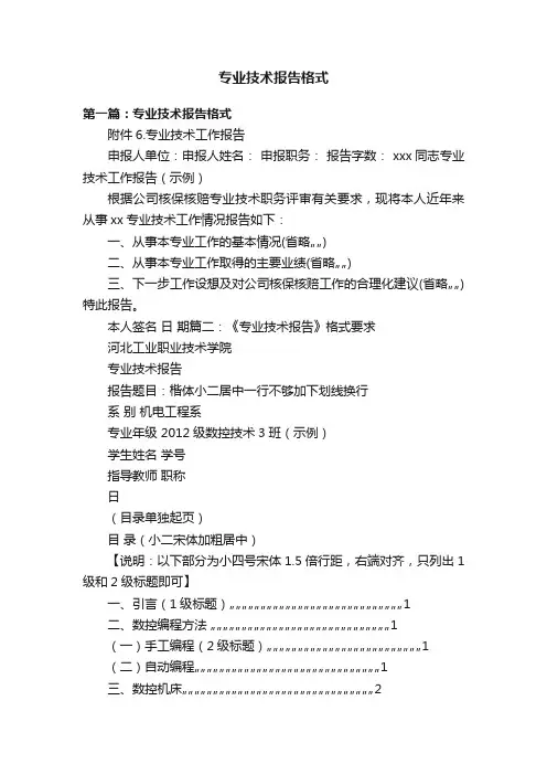 专业技术报告格式