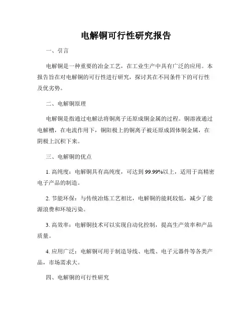 电解铜可行性研究报告