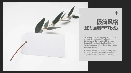 摄影作品集PPT模版
