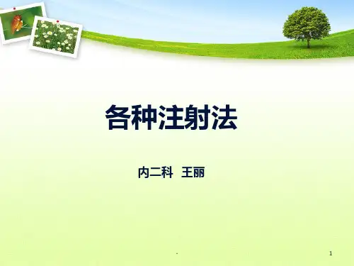 各种注射法PPT课件