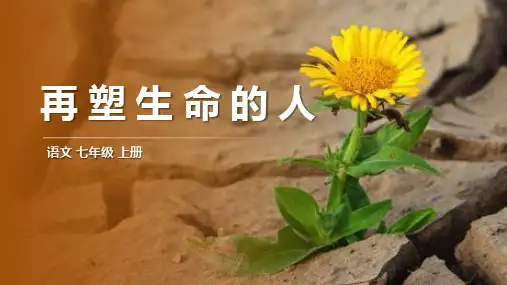 第10课《再塑生命的人》课件(共18张PPT)语文七年级上册